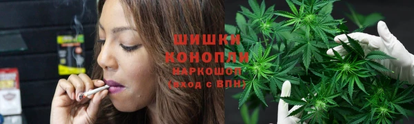 круглые Белокуриха