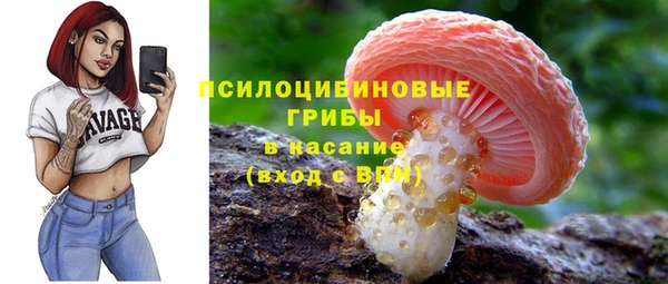 круглые Белокуриха
