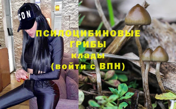 первитин Беломорск