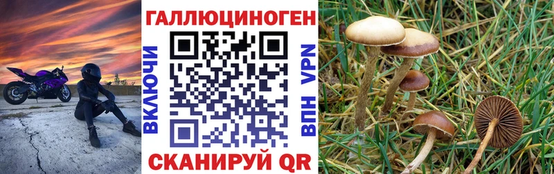 Галлюциногенные грибы Magic Shrooms  где купить наркоту  hydra рабочий сайт  Новотитаровская 